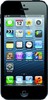 Apple iPhone 5 16GB - Мурманск